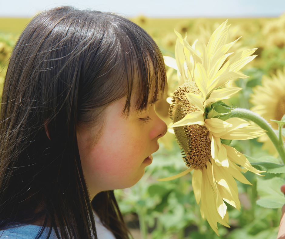 Startujemy z naborem do projektu „...Odkrywcy Zmysłów...2026”